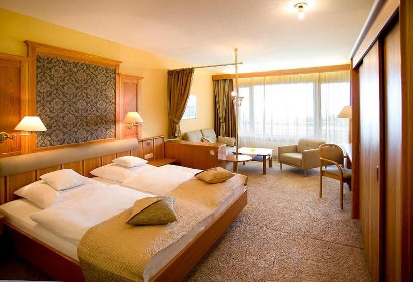 Студия Стандарт, Nationalpark Hotel Schliffkopf