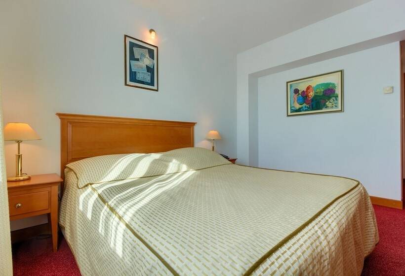 اتاق استاندارد با چشمانداز دریا, Villa Dvor