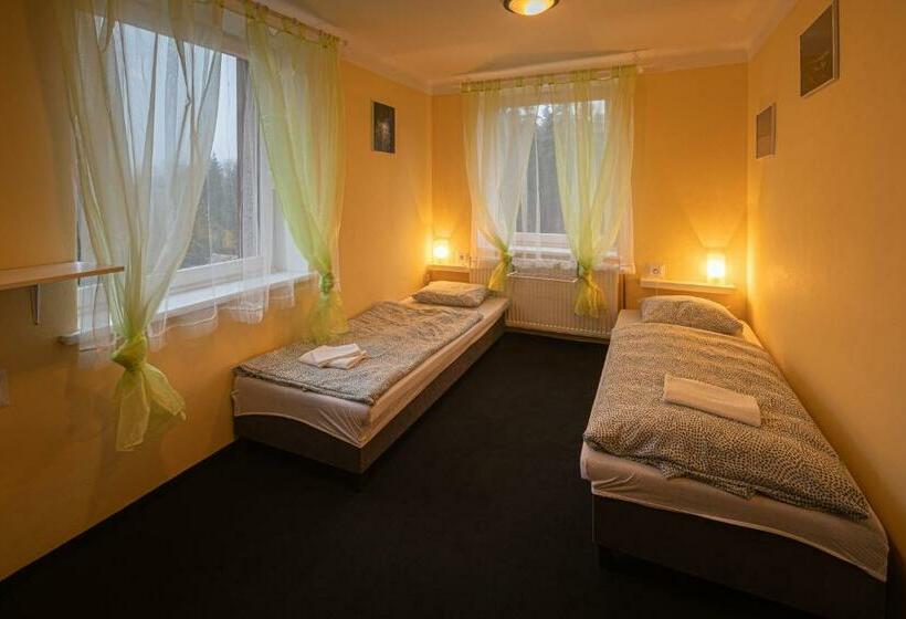 Номер Стандарт Совместная Ванная, Wellness Penzion Triola
