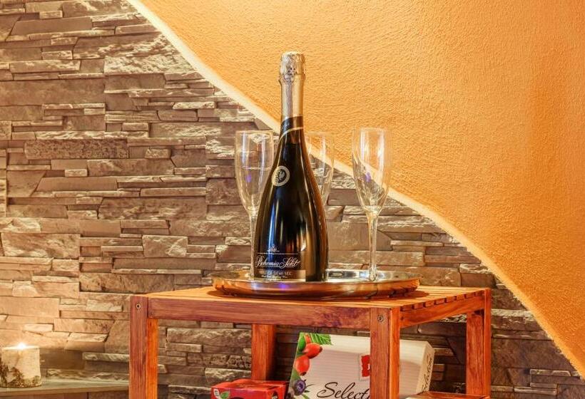 Студия Стандарт, Wellness Penzion Triola