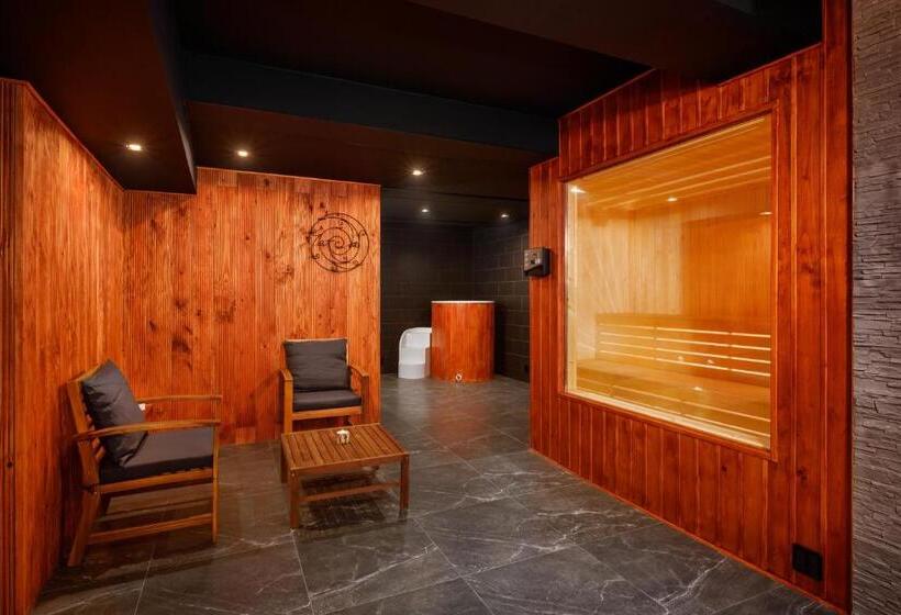Студия Стандарт, Wellness Penzion Triola