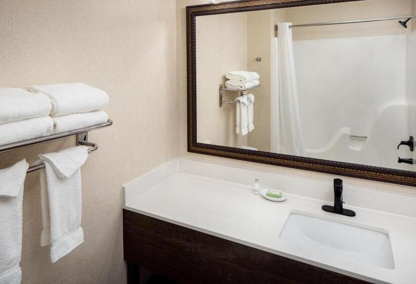 스탠다드 룸 킹사이즈 침대, Irish Cottage Inn & Suites