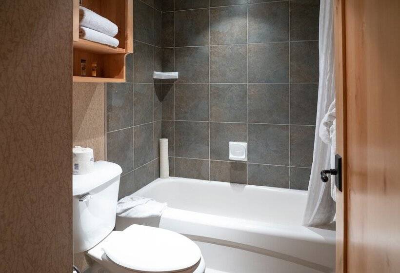 2 Bedroom Superior Room, Fox Hotel And Suites