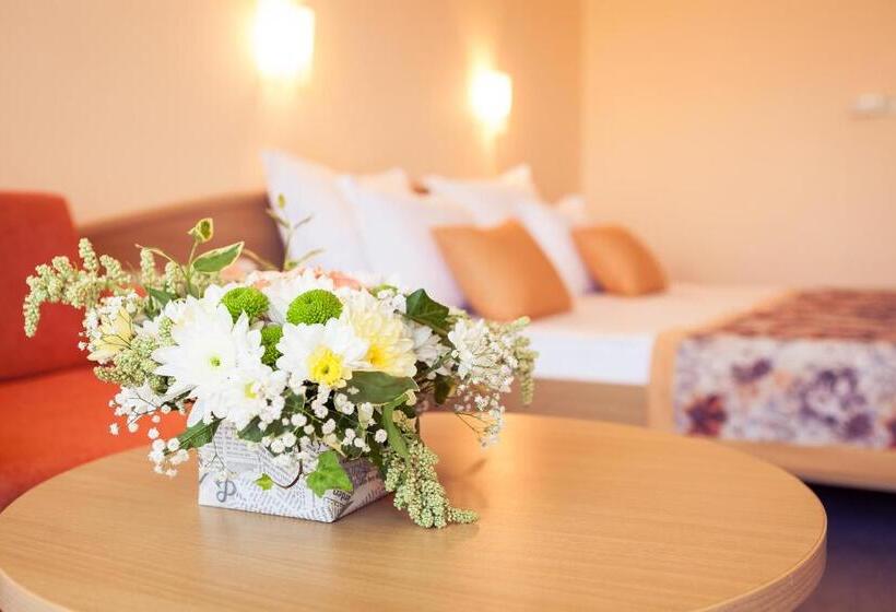 Номер Стандарт Вид на Бассейн, Wela   Premium All Inclusive