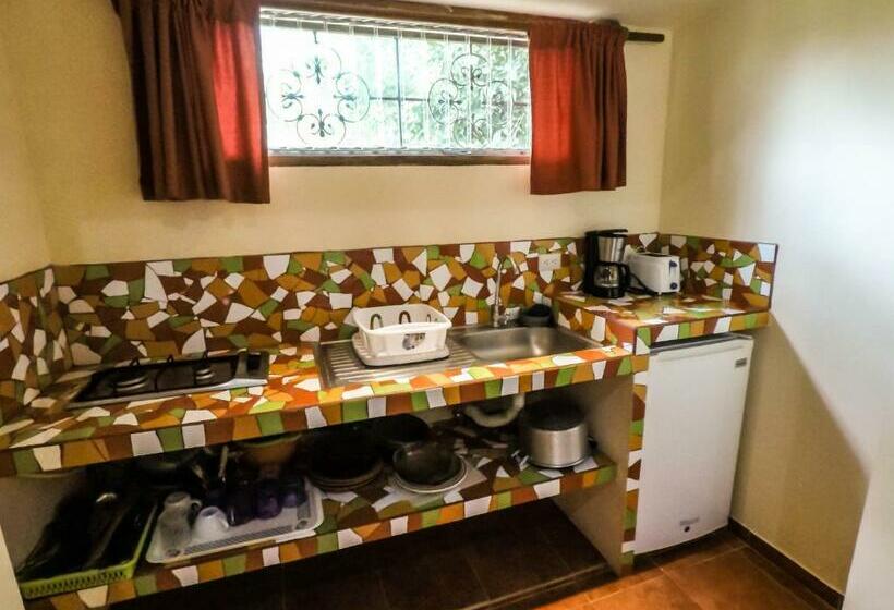 Студия Стандарт, Ritmo Tropical   Pool And Breakfast