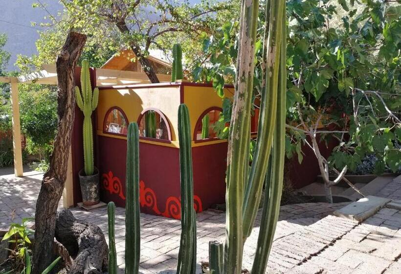 اتاق خانوادگی, El Jardín Secreto Pisco Elqui