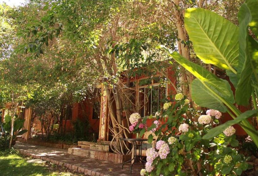اتاق استاندارد سه تخته با چشم‌انداز استخر, El Jardín Secreto Pisco Elqui