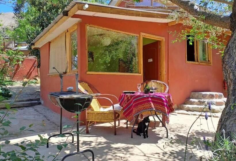 اتاق لوکس, El Jardín Secreto Pisco Elqui
