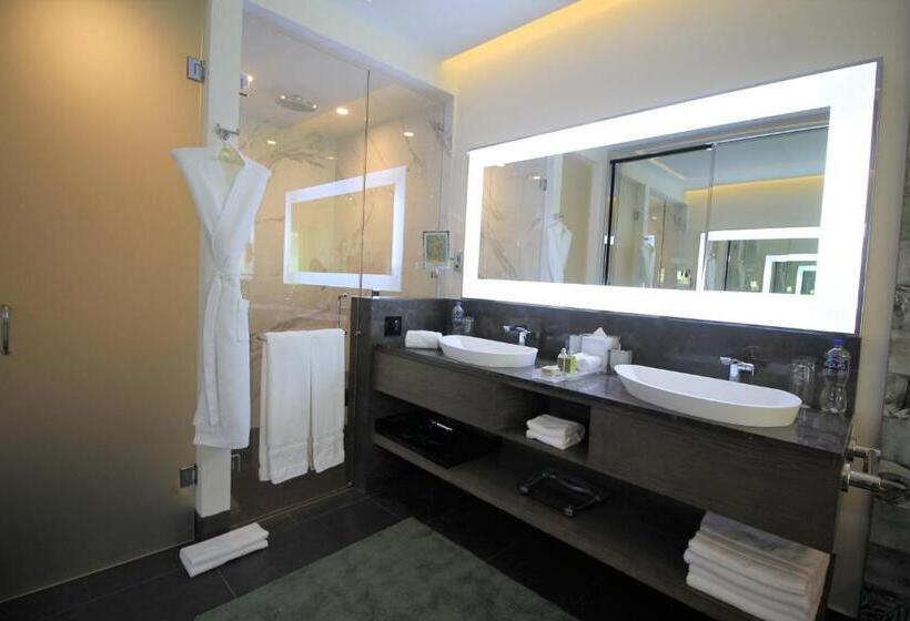 Swim-up suite, Garza Blanca Resort & Spa Cancun