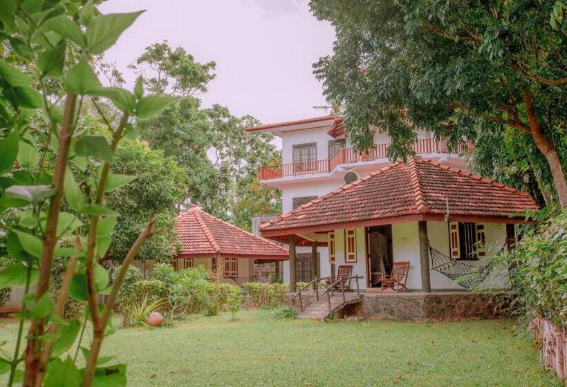 Семейный Номер Вид на Сад, Paradise Bungalow