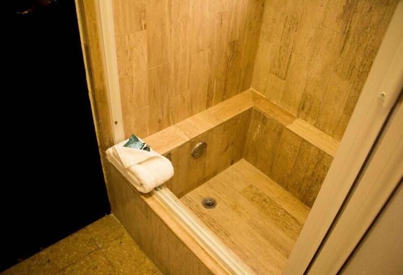 اتاق استاندارد با تخت بزرگ, Best Western Hotel Posada Freeman Zona Dorada