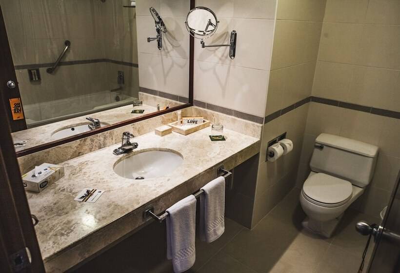 اتاق سوپریور, Bth Hotel Arequipa Lake