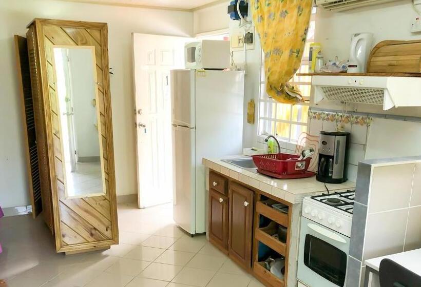 استودیوی استاندارد, Coco Mango Suites