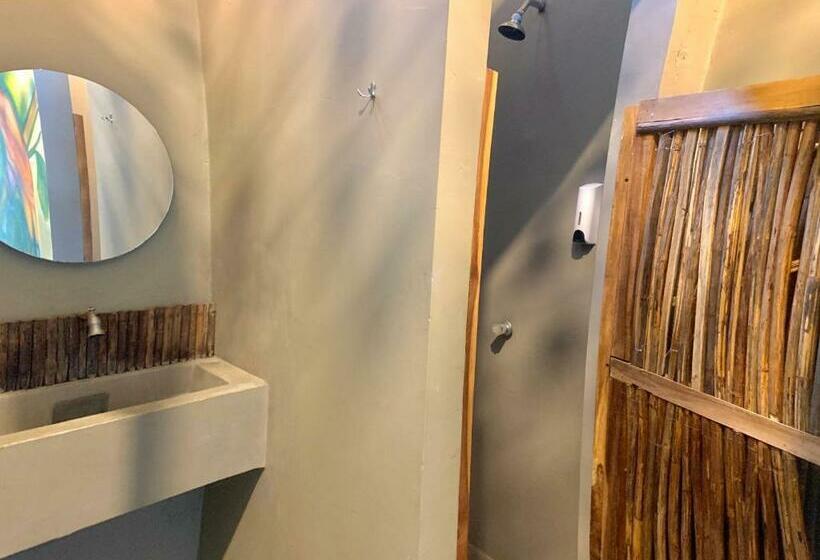 تختخواب در اتاق مشترک, Hostel Boutique Musa Paradisiaca