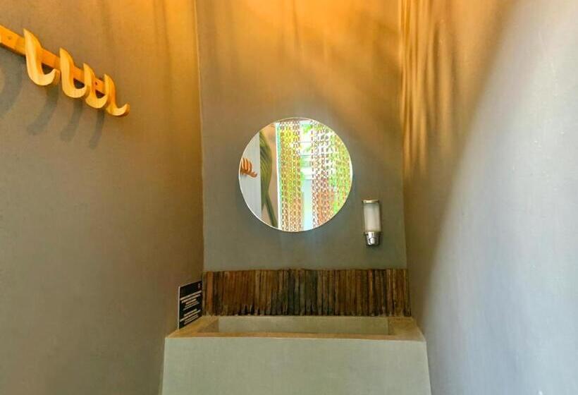 تختخواب در اتاق مشترک, Hostel Boutique Musa Paradisiaca
