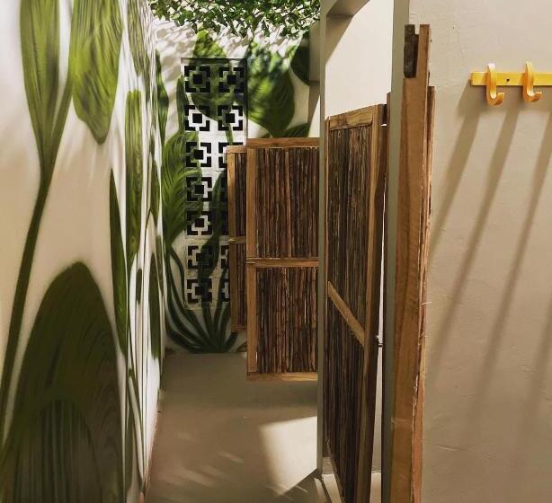تختخواب در اتاق مشترک, Hostel Boutique Musa Paradisiaca