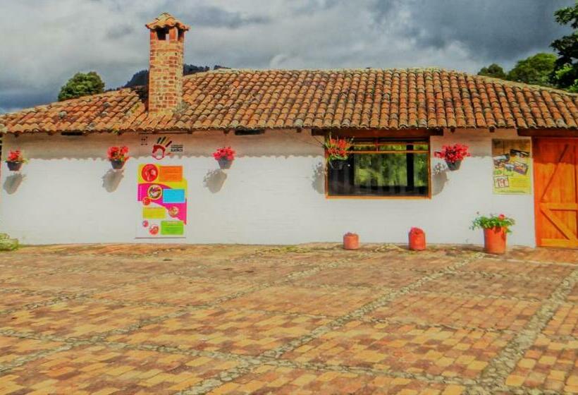 Номер Стандарт, La Isabela Estancia Ecuestre