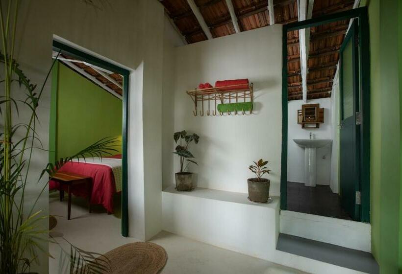 オーシャンビュースタンダードルーム, Casa Jaali