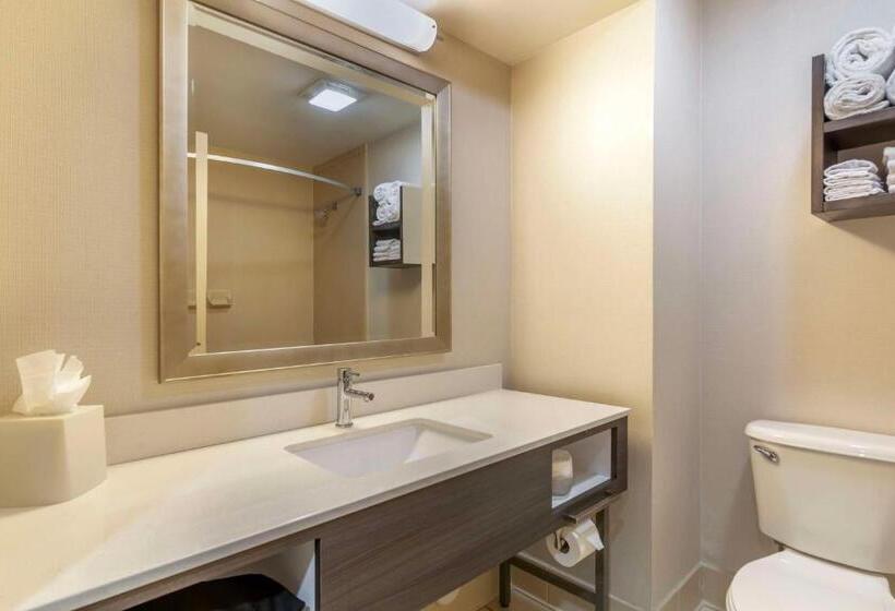 スタンダードルーム, Best Western Plus Kendall Hotel & Suites