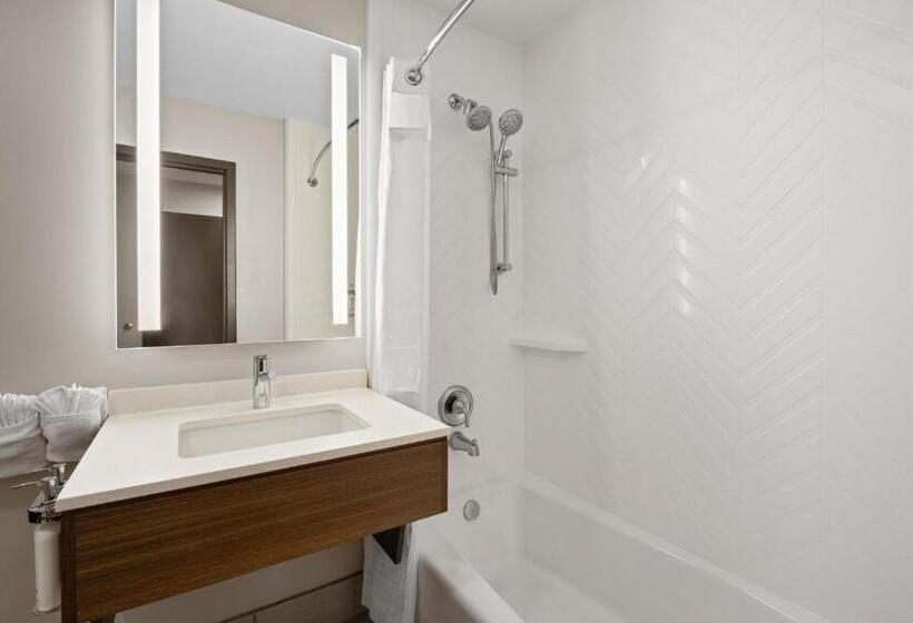Номер Стандарт Адаптированный для Инвалидов, Holiday Inn & Suites Albuquerque Airport, An Ihg