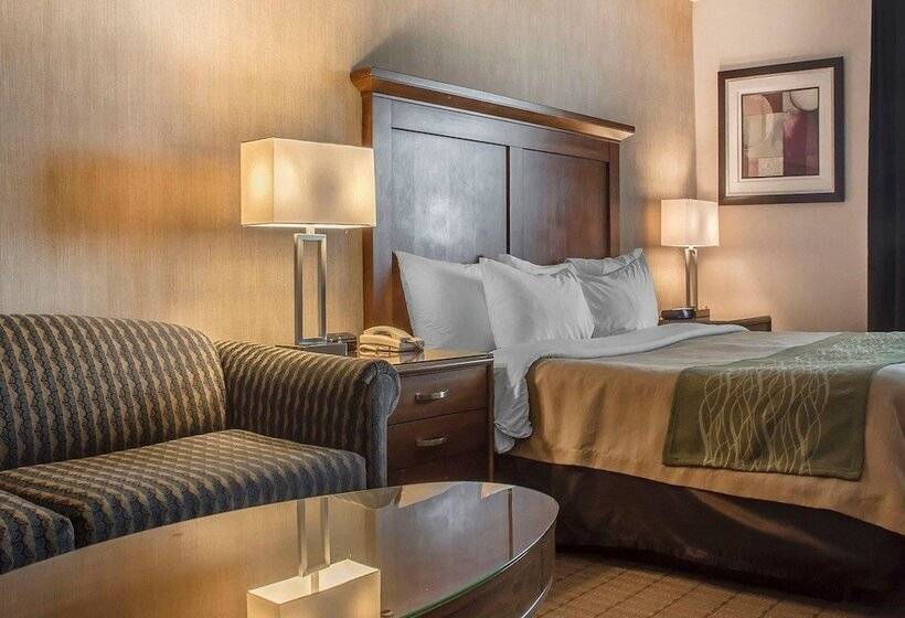标准间, Comfort Inn
