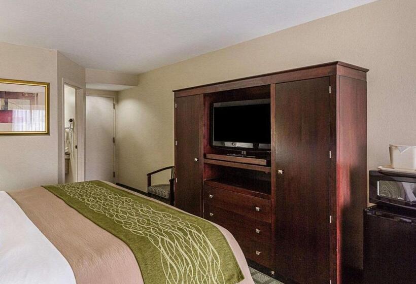 스탠다드 룸 킹사이즈 침대, Comfort Inn Southwest Fwy At Westpark