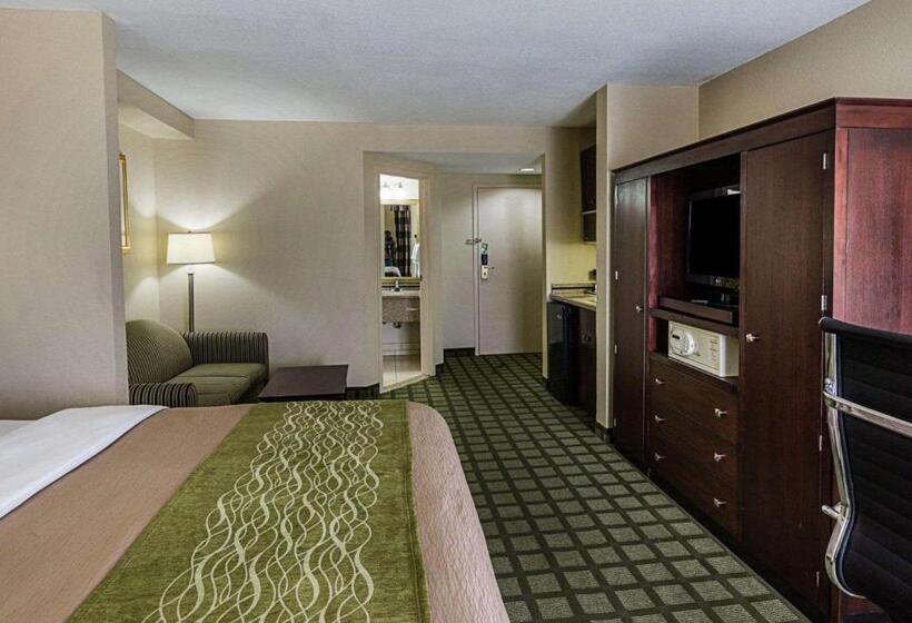 스위트 킹사이즈 침대, Comfort Inn Southwest Fwy At Westpark
