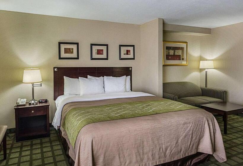 キングサイズベッドのスイートルーム, Comfort Inn Southwest Fwy At Westpark