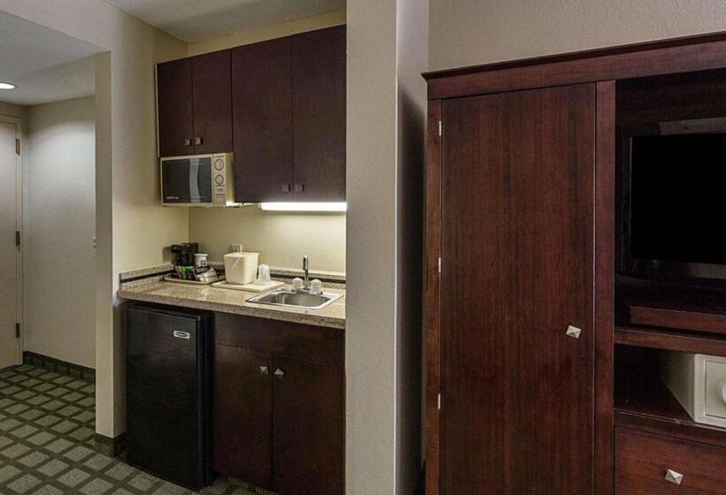 스위트 킹사이즈 침대, Comfort Inn Southwest Fwy At Westpark