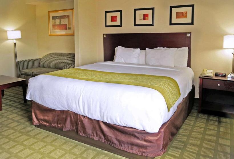 스위트 킹사이즈 침대, Comfort Inn Southwest Fwy At Westpark