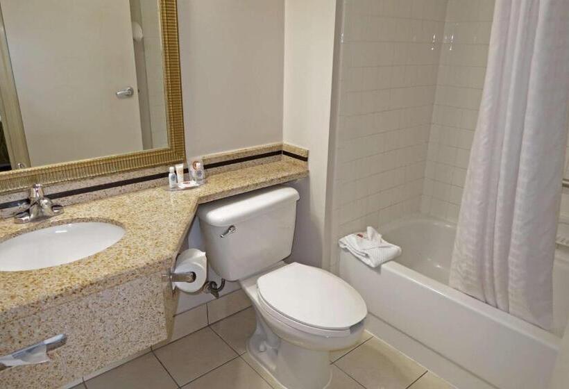 身障者適用キングサイズベッドルーム, Comfort Inn Southwest Fwy At Westpark