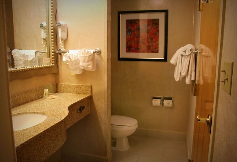 Люкс Адаптированный для Инвалидов, Holiday Inn & Suites Albuquerque Airport, An Ihg