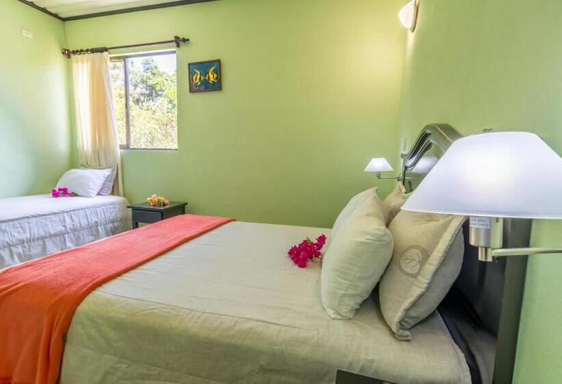 اتاق استاندارد یک نفره, Kayak Lodge