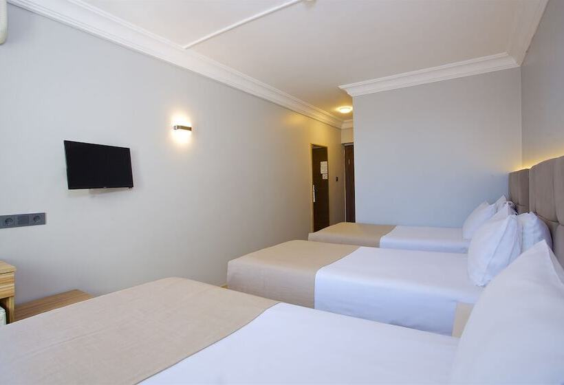 Economy Triple Room, Grand Ant