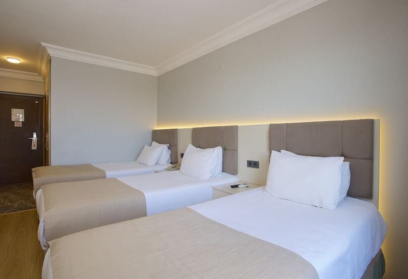 Economy Triple Room, Grand Ant