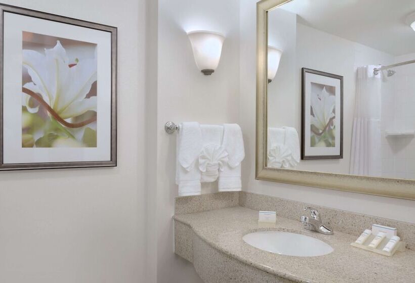 Quarto Estandar Cama King para Deficientes Físicos, Hilton Garden Inn Worcester