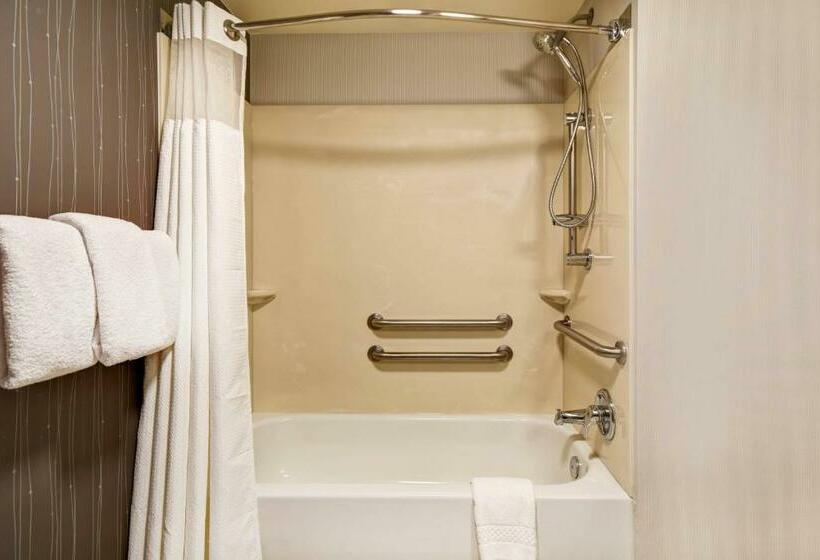 اتاق استاندارد با تخت بزرگ, Courtyard Louisville Airport