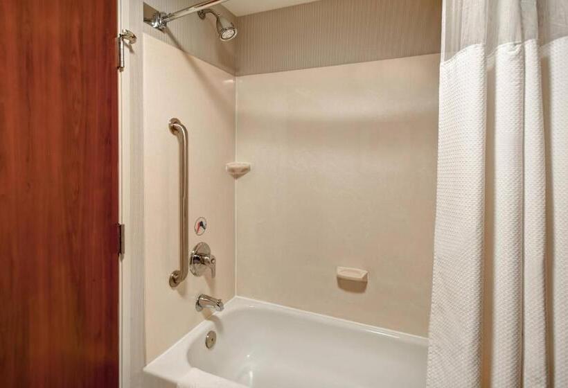 اتاق استاندارد برای معلولان, Courtyard Louisville Airport