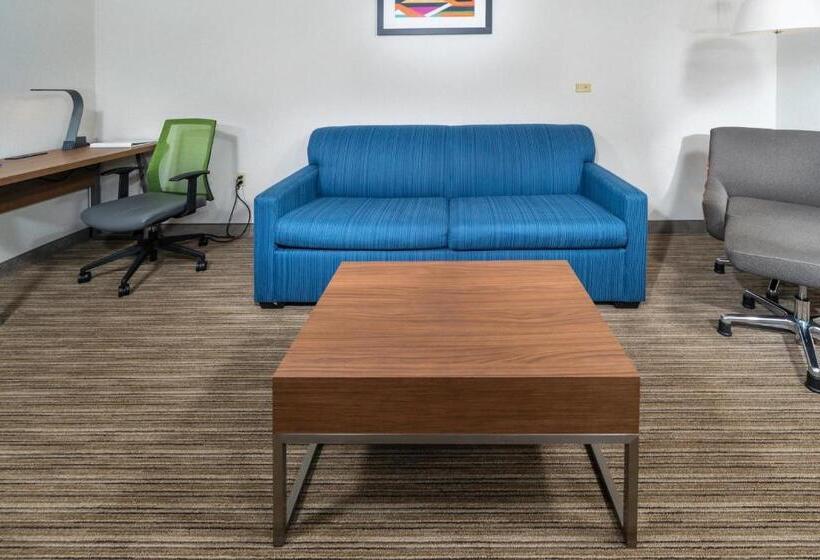 سوئیت اجرایی با تخت کینگ, Holiday Inn Express Hotel & Suites Pasco Tricities, An Ihg