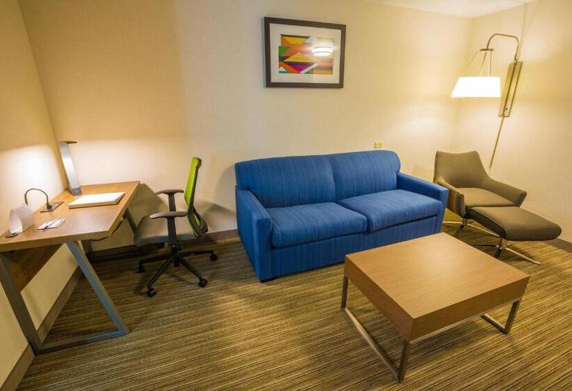 سوئیت اجرایی با تخت کینگ, Holiday Inn Express Hotel & Suites Pasco Tricities, An Ihg