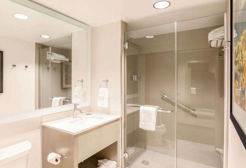 스탠다드 룸 킹사이즈 침대, Hyatt House Davis