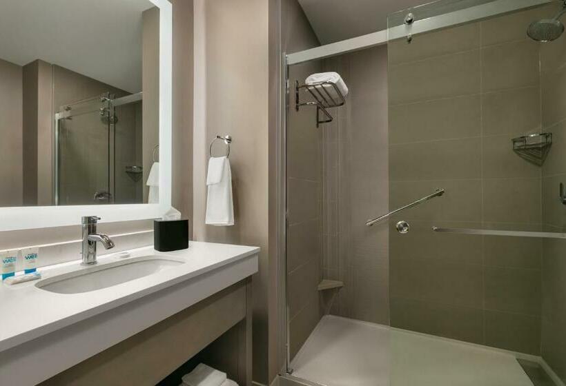 带大床的套房, Hyatt House Atlanta Perimeter Center