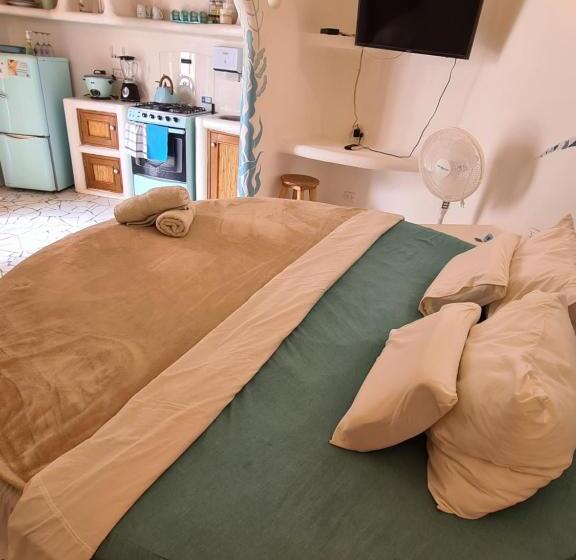 بانگلوی استاندارد, Maracol Bungalows Vichayito