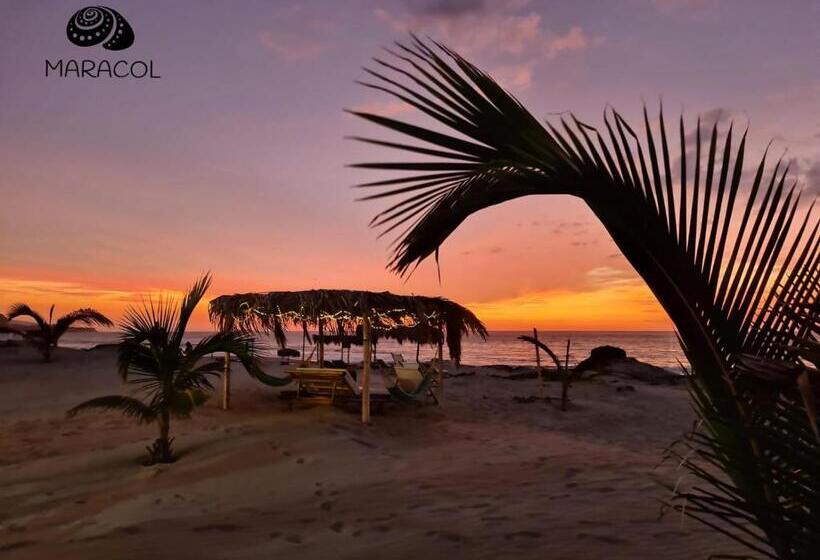 بنگله خانوادگی, Maracol Bungalows Vichayito