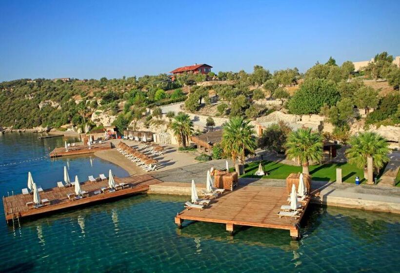 اتاق سوپریور, Oliviera Private Island Hotel   Kalem Island