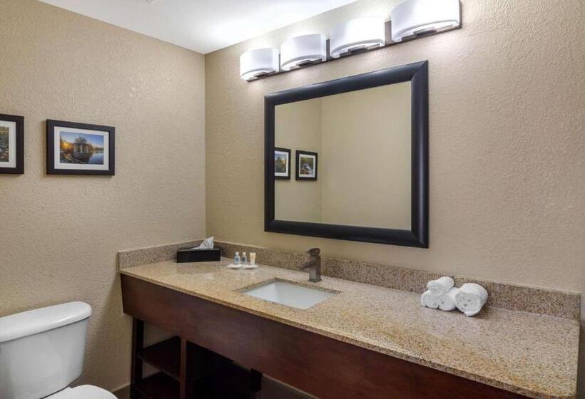 Люкс Executive Кровать Кинг, Comfort Suites Woodstock   Atlanta North