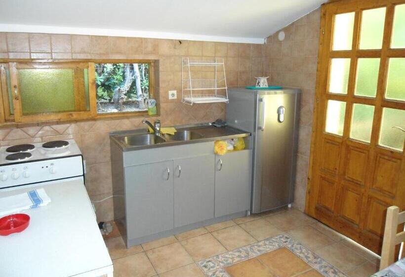 آپارتمان 1 خوابه, Guest House Vila Bak