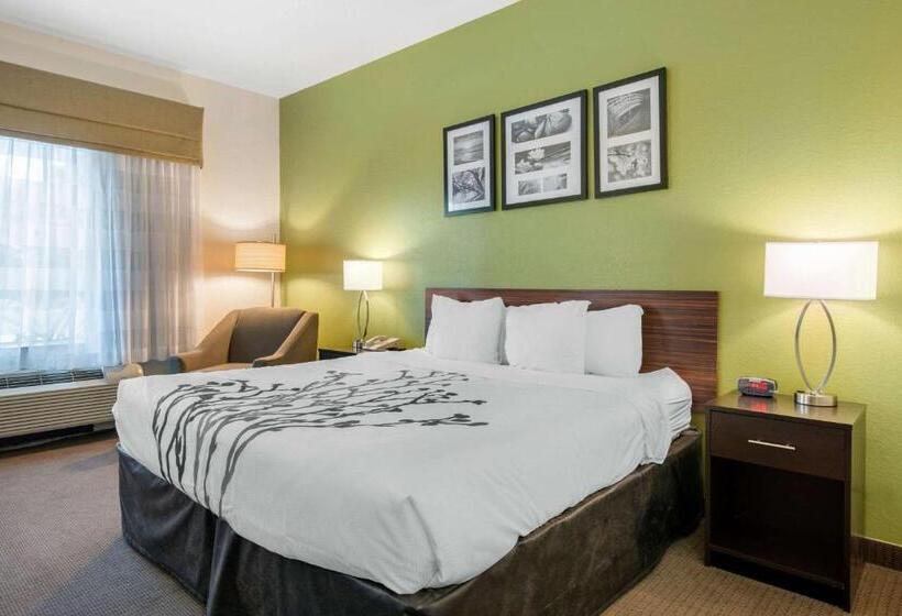 스탠다드 룸 킹사이즈 침대, Sleep Inn & Suites Port Charlottepunta Gorda