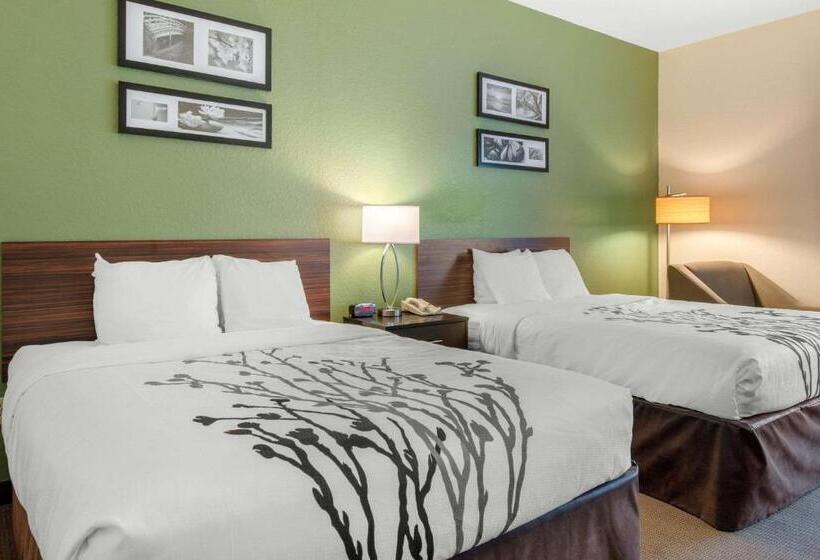 스탠다드 룸, Sleep Inn & Suites Port Charlottepunta Gorda