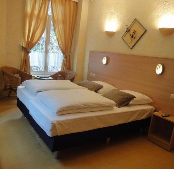 Номер Комфорт, Parkhotel Villa Des Effats Vielsalm